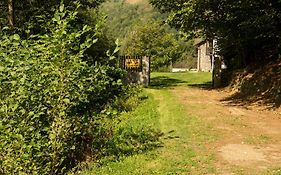 Casa De Vacanta Valea Prejbei