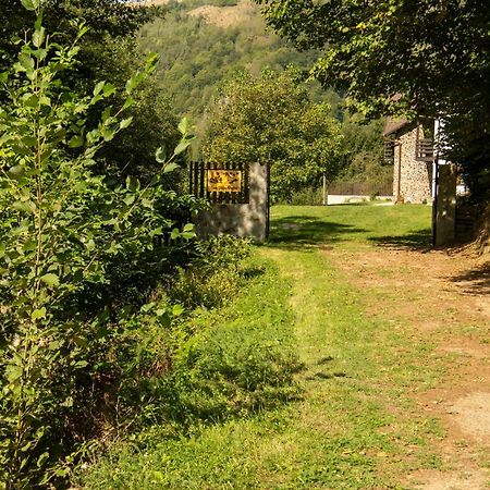 Casa De Vacanta Valea Prejbei Rau Sadului Exterior foto