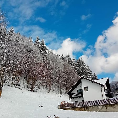 Casa De Vacanta Valea Prejbei Rau Sadului Exterior foto