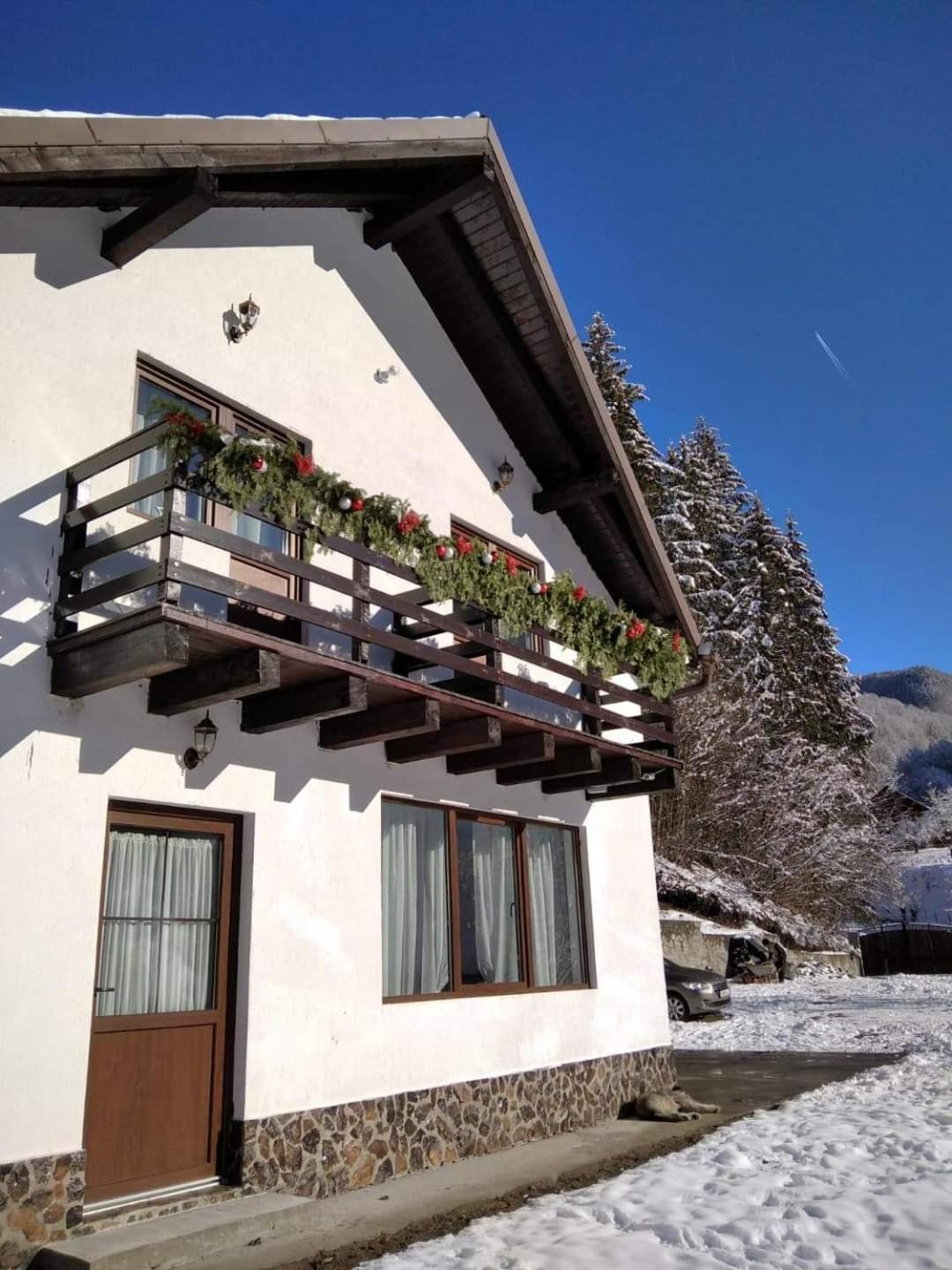 Casa De Vacanta Valea Prejbei Rau Sadului Exterior foto