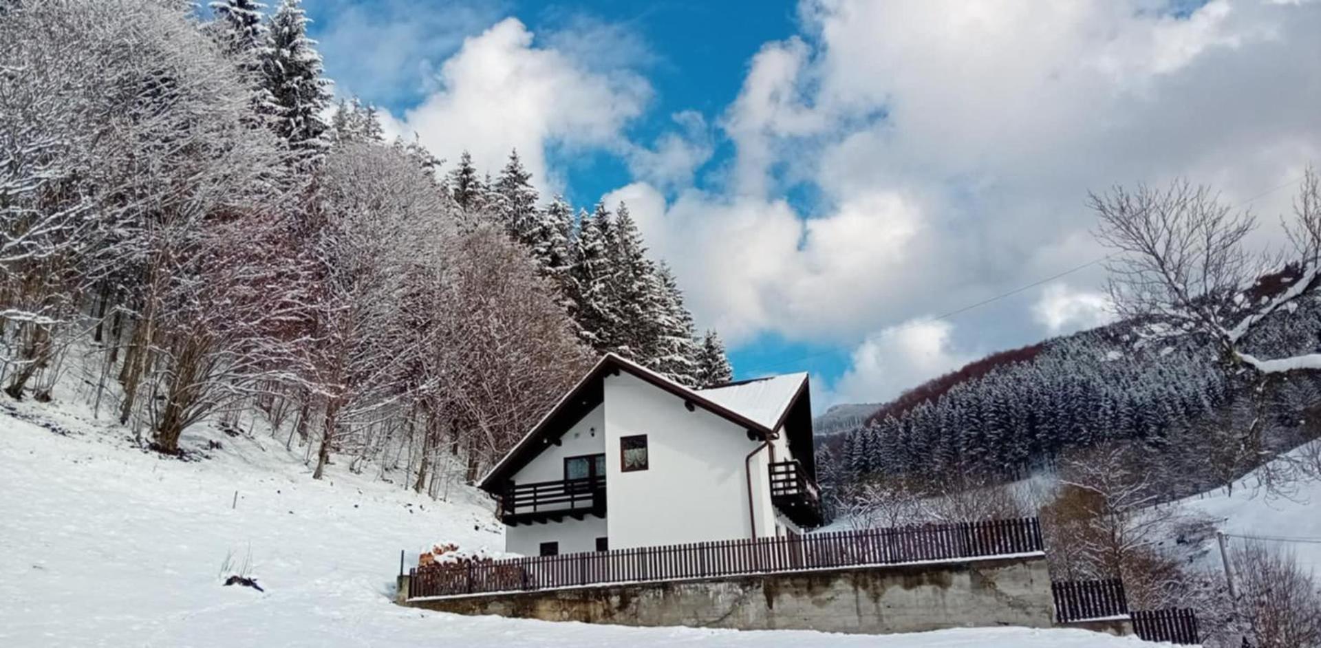 Casa De Vacanta Valea Prejbei Rau Sadului Exterior foto
